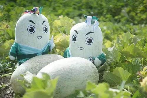 网红驯鹿吃瓜,揭秘动物界的娱乐热点