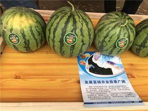 农村吃瓜爆料,揭秘乡村生活那些事儿